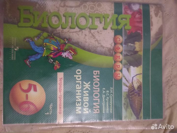 Рабочая тетради