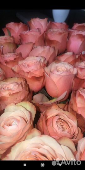 Роза 40,50,60см в пачках,по 10 шт.,оптом