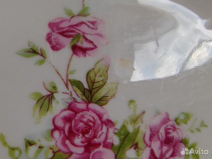 Тарелки суповые Пролетарий розы