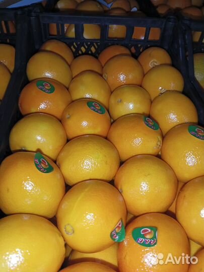 Овощи и фрукты оптом