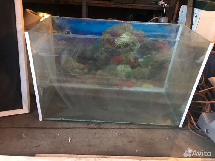 Аквариум