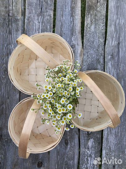 Корзины из лозы