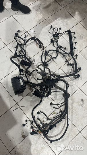 Моторная проводка solaris rio 3