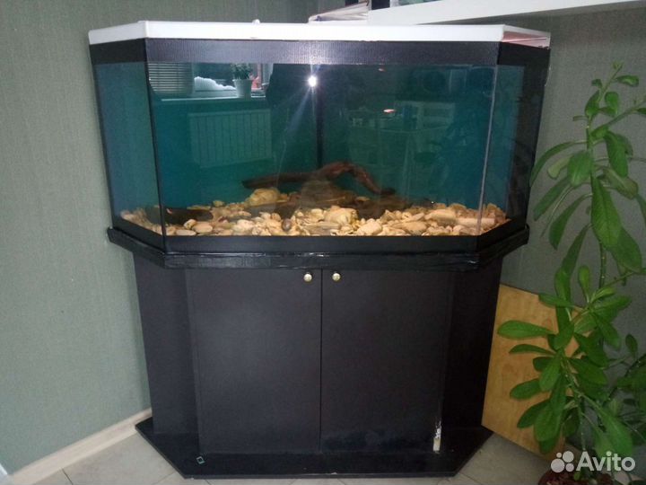 Аквариум