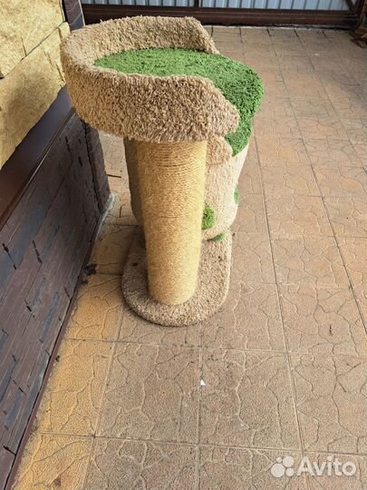 Домик для кошки с когтеточкой бу