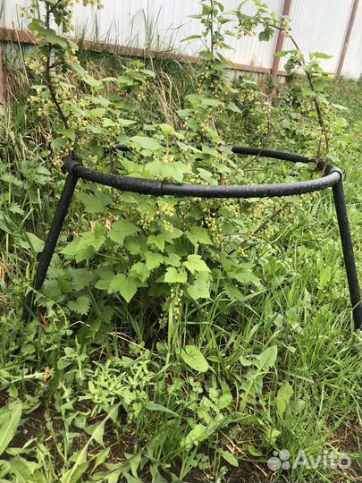 Кустодержатель садовый