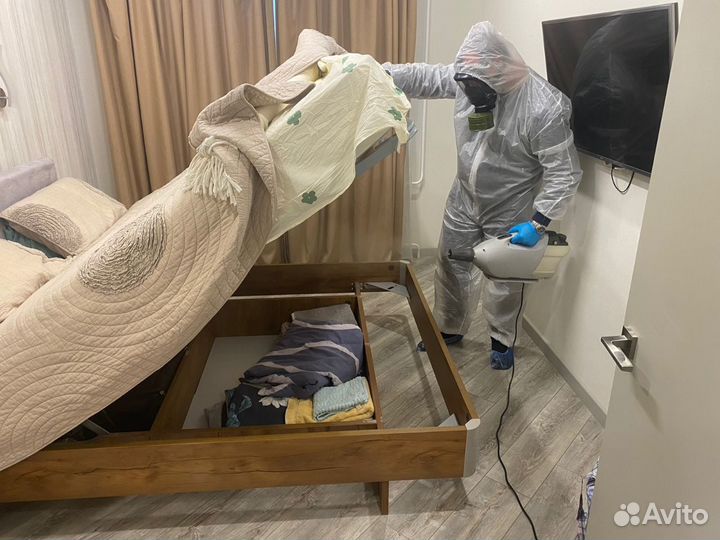 Уничтожение клопов, травить тараканов. Дезинфекция