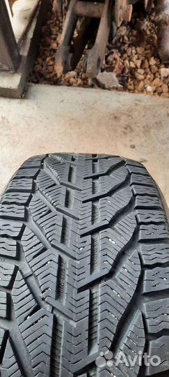Tigar Winter 245/45 R18