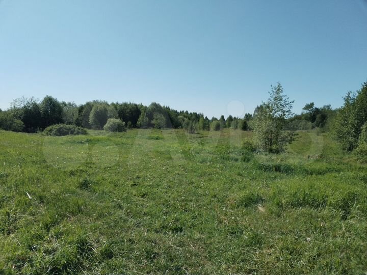 Участок 10 га (СНТ, ДНП)