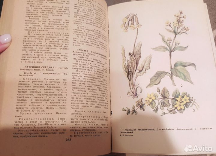 Книга Лекарственные растения в народной медицине