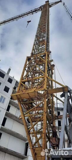 Башенный кран в аренду