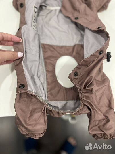 Дождевик для маленькой собаки (мальчика)