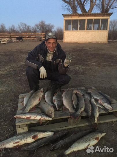 Рыбалка и подводная охота в Астрахани