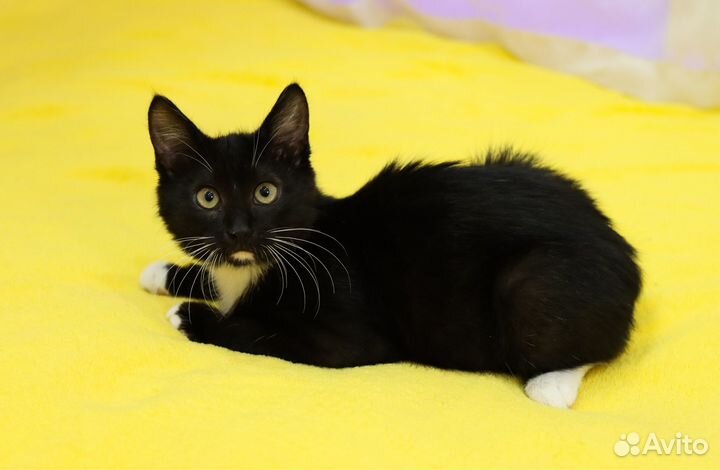 Привет я Тёма и очень хочу домой