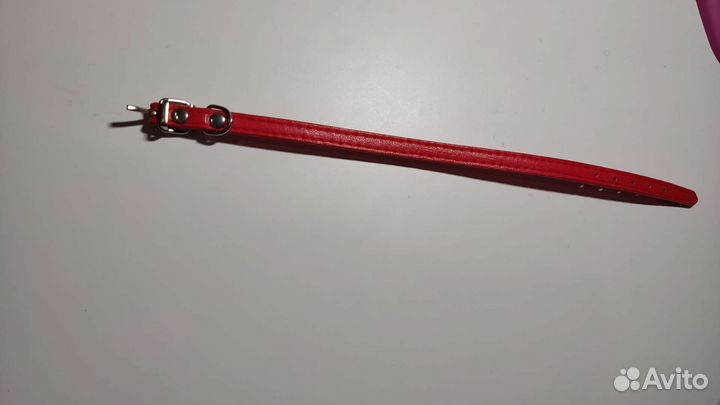 Ошейник для собаки