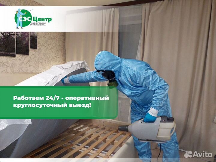 Уничтожение клопов, травить тараканов. Дезинфекция