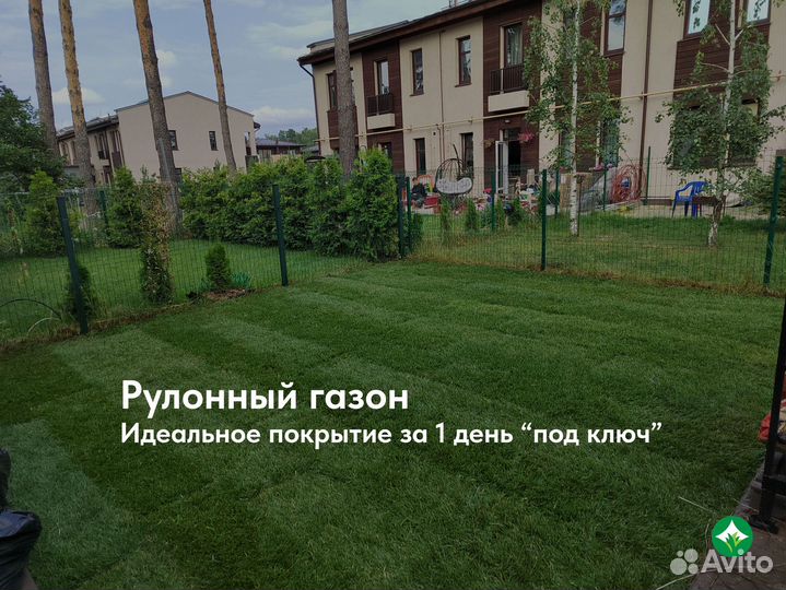 Рулонный газон с укладкой