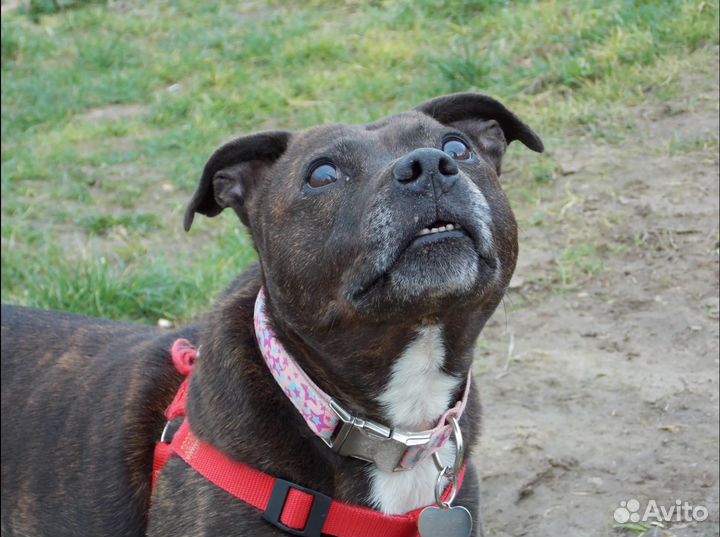 Новая фотокамера Nikon coolpix s6200