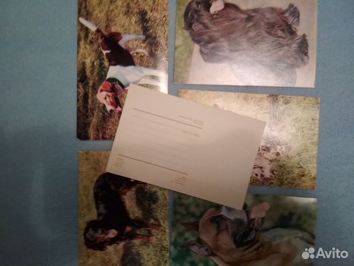 Почтовые открытки 