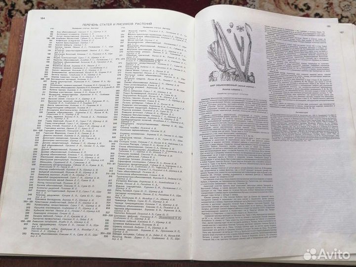 Атлас ареалов и ресурсов лекарственных растений