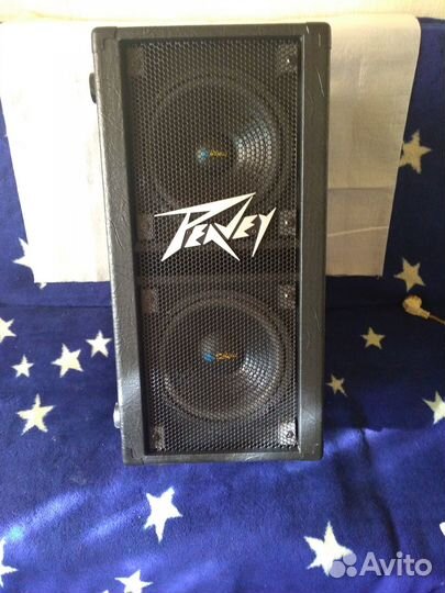 Полный мини-комплект голосовой/гитарной аппаратуры