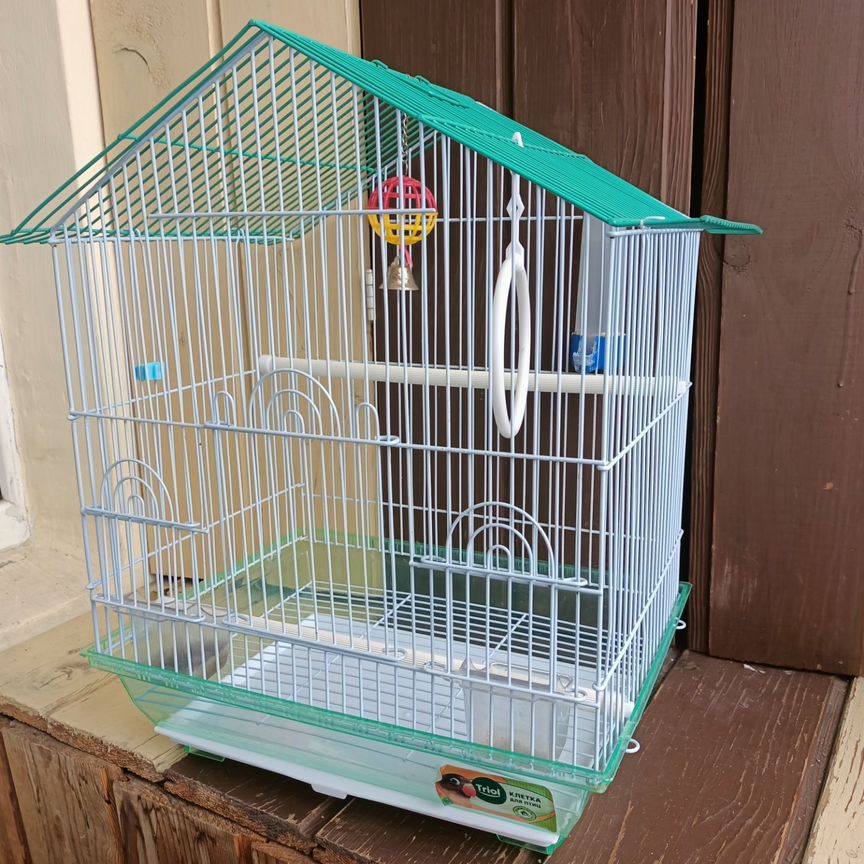 Vaginal kammingning yaqindan olingan videosi