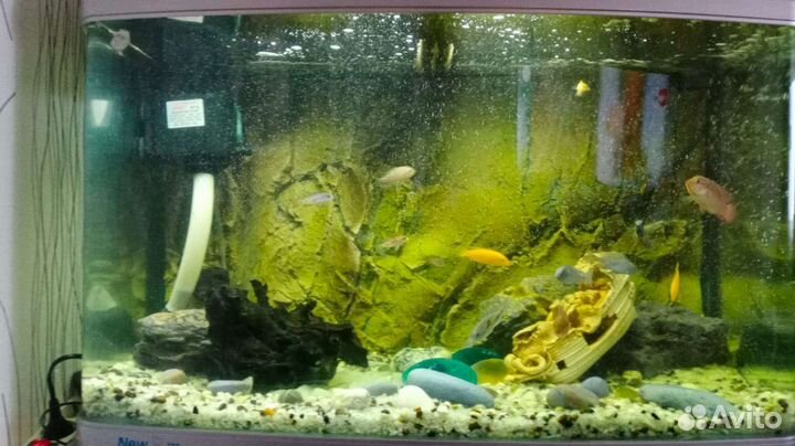 Грунт для аквариума