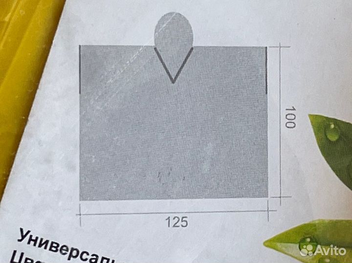 Дождевики 2 вида