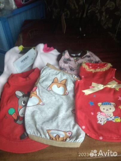 Майки, костюмы, толстовки для маленьких собак