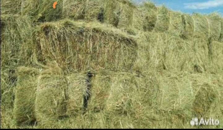 Сено в тюках