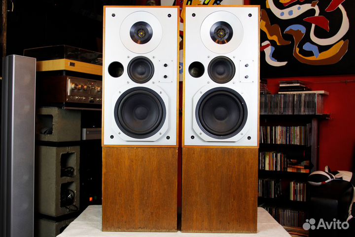 Акустика Technics SB-X5 твикнутая мастером