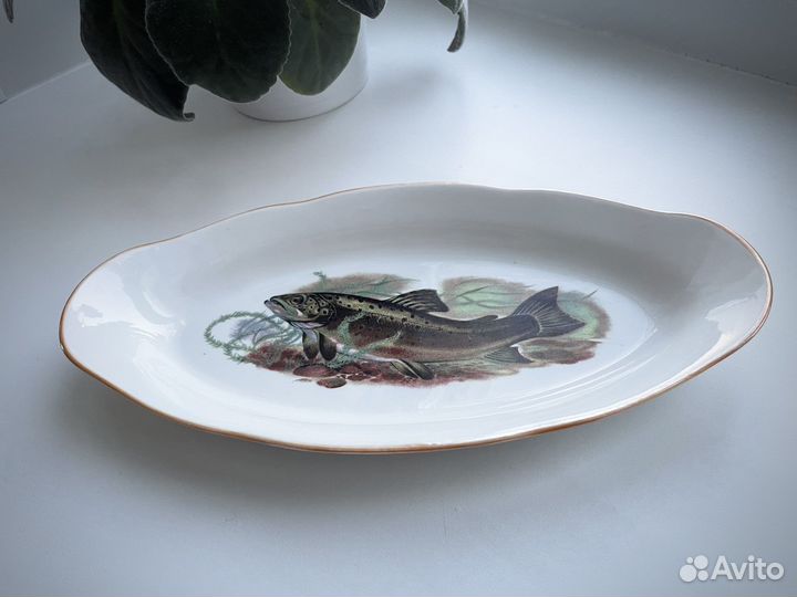 Селедочница