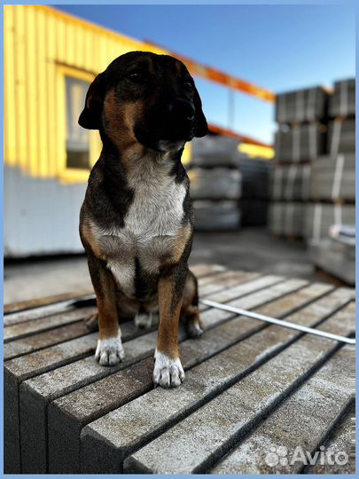 Плита тротуарная Оптом минимальный заказ 120 м2