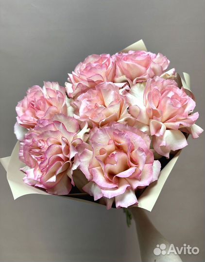 Букеты и цветы. Гортензия и гипсофилы