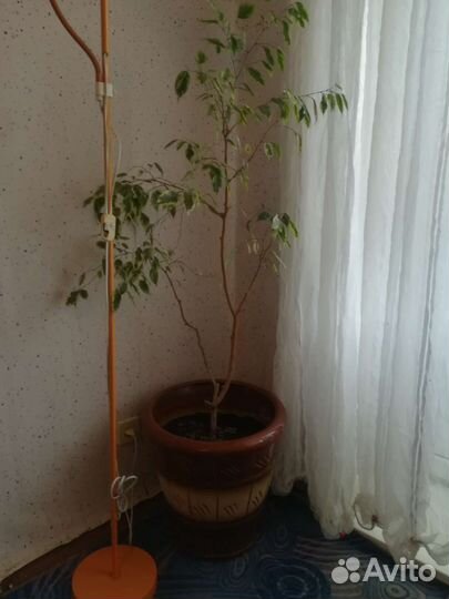 Керамические горшки