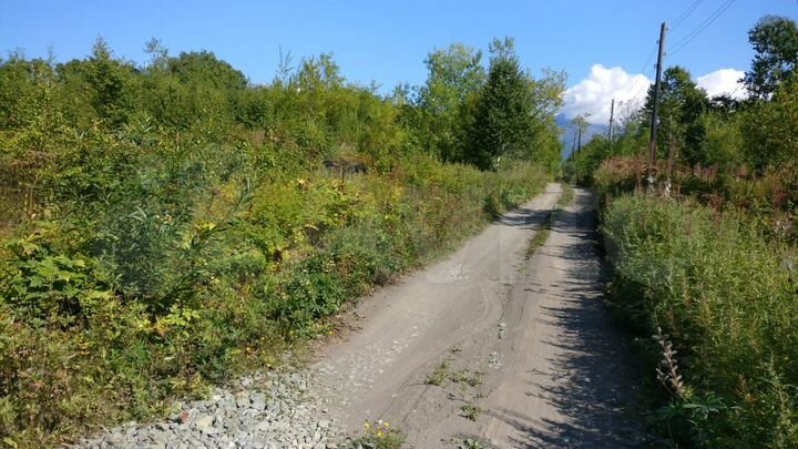 Участок 10 сот. (СНТ, ДНП)