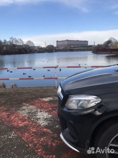 Трезвый водитель