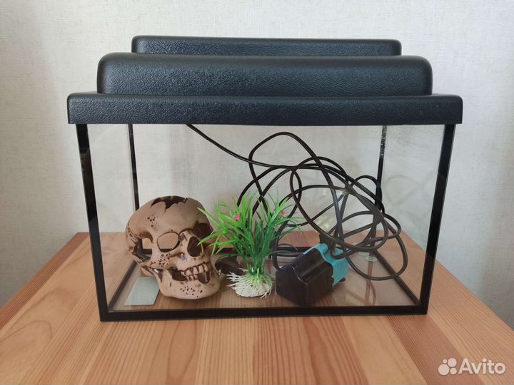 Аквариум + фильтр + декор + лампа