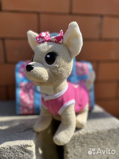 Собачка Чичилав