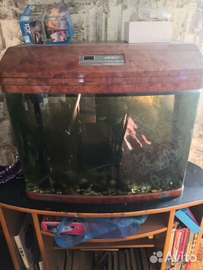 Аквариум