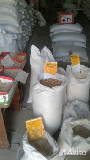 Зерно пшеница ячмень и другие доставка