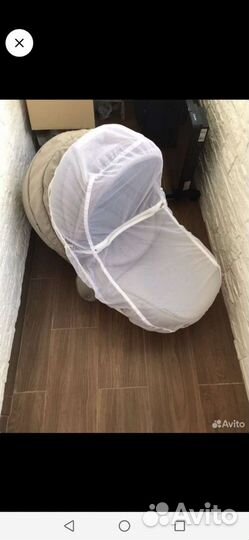 Коляска 2 в 1 Adamex Gloria