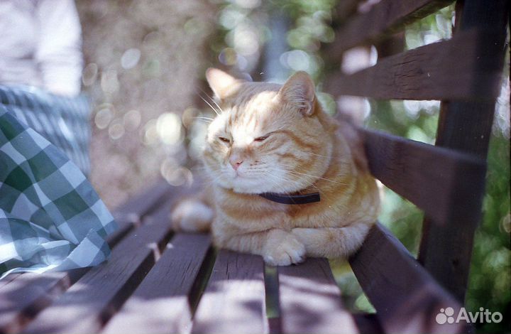 Фотоаппарат Зенит Е