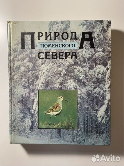 «Природа тюменского севера»