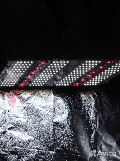 LED диммируемый Quantum board 301B 120 Вт (2х60w)