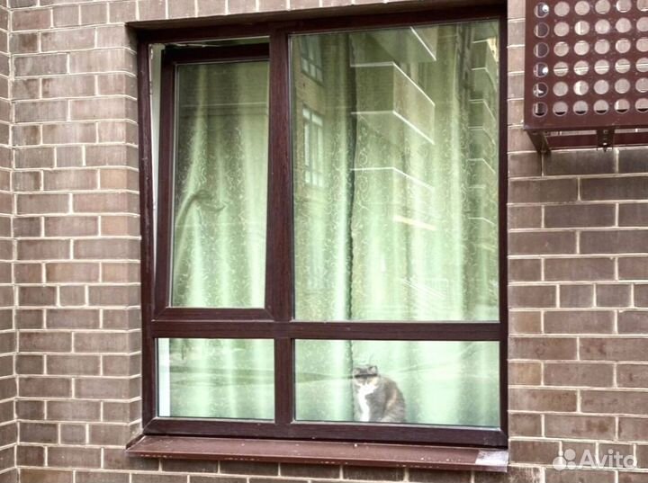 Пластиковые окна для любых помещений