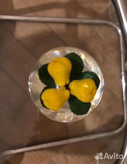 Йогуртницы и солонка