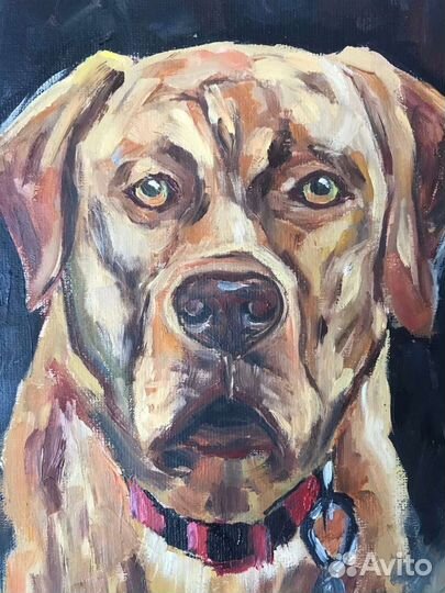 Картина маслом А4 Пес