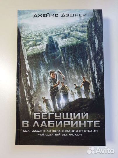 Джеймс Дэшнер, Бегущий в лабиринте
