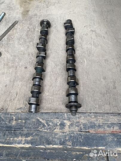 Тарсионный вал